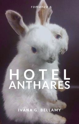 Hotel Anthares