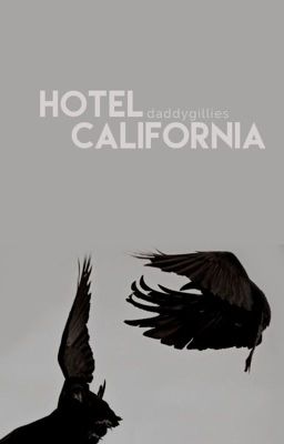 HOTEL CALIFORNIA | D. SALVATORE