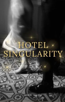 Hotel Singularity