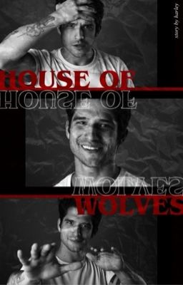 house of wolves !          「 𝐡𝐨𝐮𝐬𝐞 𝐨𝐟 𝐚𝐧𝐮𝐛𝐢𝐬 § 𝐭𝐞𝐞𝐧 𝐰𝐨𝐥𝐟 」