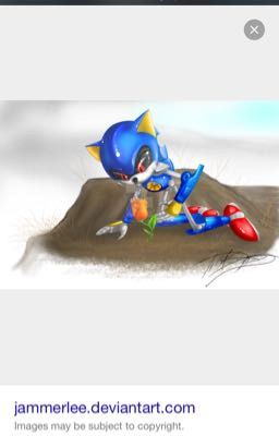 How did it become love? (A metal sonic story)