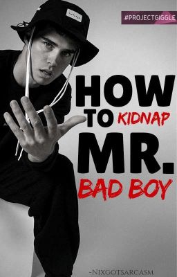 How To Kidnap Mr. Bad Boy [#HTKMBB]