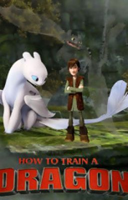 How to Train A Dragon