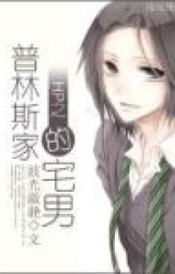 HP chi Prince nhà trạch nam