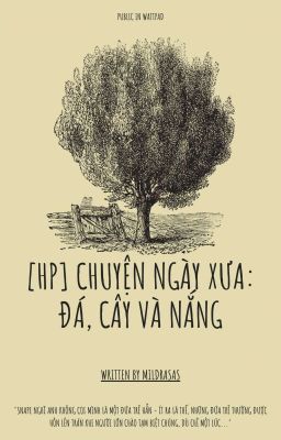 [HP] Chuyện ngày xưa: đá, cây và nắng