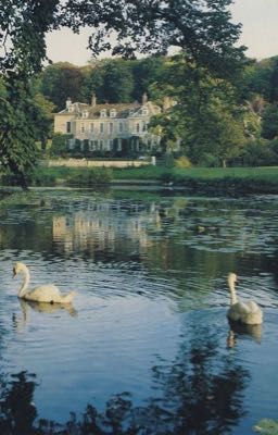 [HP] DraHar/Edit - Chủ Nghĩa Không Thành Thật.