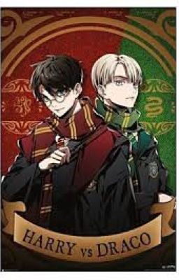 (HP) Harry x Draco  tổng hợp