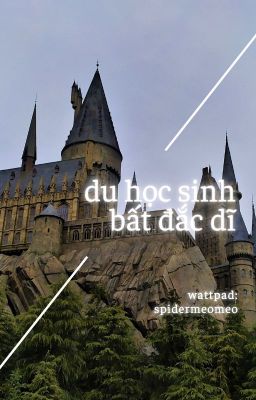 [HP/Học đường VN] - Du học sinh bất đắc dĩ