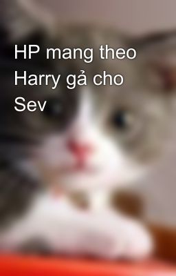 HP mang theo Harry gả cho Sev