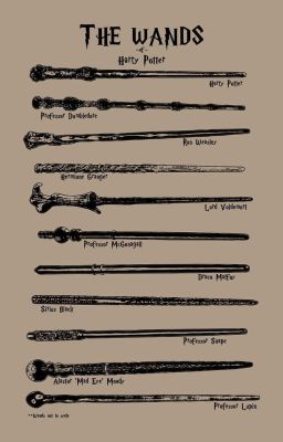 [HP] Wand, Memories and You