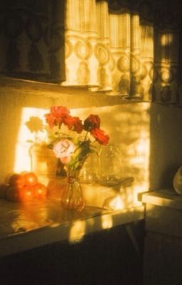 [Huấn văn] Quý ông, giáo sư và tiểu đấu sĩ