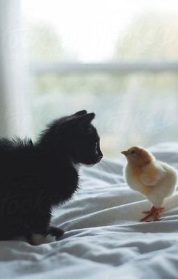 [HùngAn]𝐧𝐨𝐭𝐡𝐢𝐧𝐠