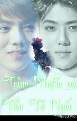 [ HunHan ] Cô vợ  của trùm Mafia  