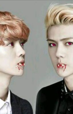 [HunHan] Sẽ không còn nữa....