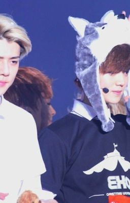 [HunHan] Yêu Em, Cả Đời Cũng Không Hết Yêu!