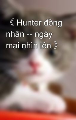 《 Hunter đồng nhân -- ngày mai nhìn lên 》