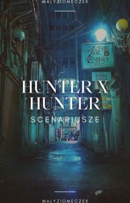 HUNTER X HUNTER || scenarios