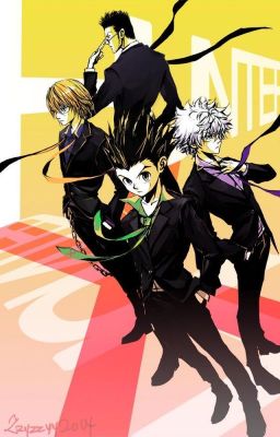 Hunter x Hunter | x reader