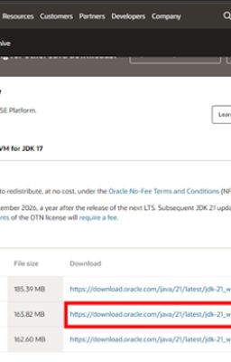 Hướng dẫn cài đặt Java Development Kit (JDK) cho Windows, macOS và Linux