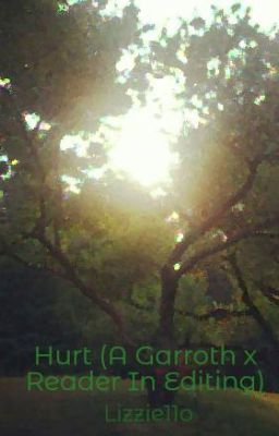 Hurt (A Garroth x Reader) FINISHED (OLD)