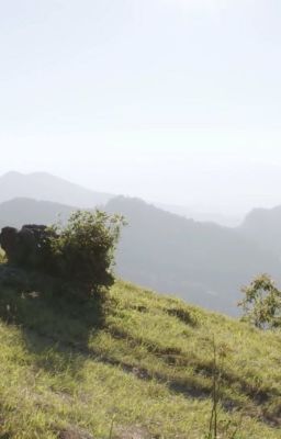 [HUY HOÀNG] THANH ÂM TỪ NGỌN CỎ