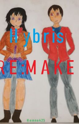 Hybris RE:MAKE