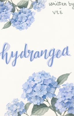 hydrangea 