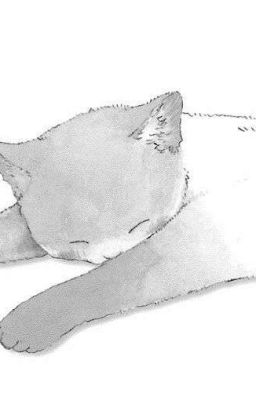 ||HyunLix ; Da Pretty||