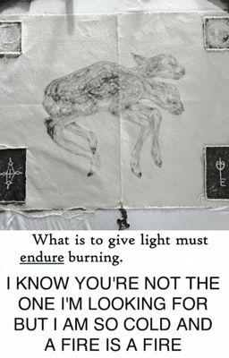 H𝑢ma𝔫F͟a͟c͟t͟o͟r͟y͟™.net ⠀ㅤ