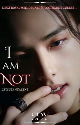 I am not [Stray Kids Hyunjin] EN RÉÉCRITURE