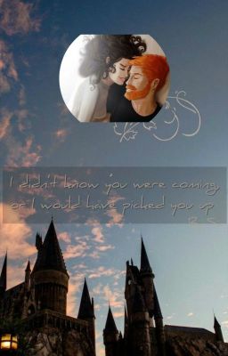 I didn't know you were coming in, or I would have picked you up (Fremione)