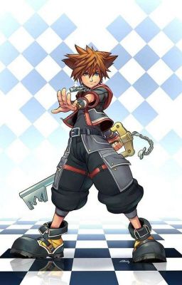 I get reincarnated as Sora