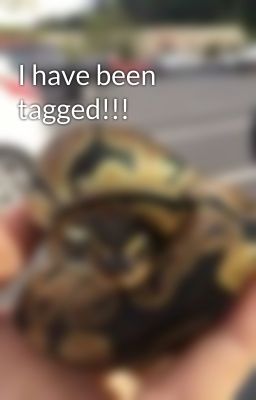 I have been tagged!!!