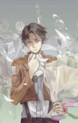 I'll See You Later (Levi X Reader)