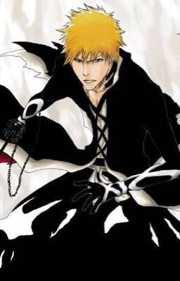 I'm A Fallen (Kurosaki Ichigo X Reader)