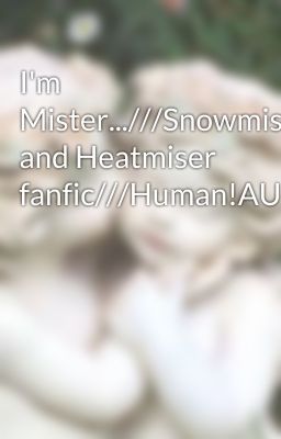 I'm Mister...///Snowmiser and Heatmiser fanfic///Human!AU