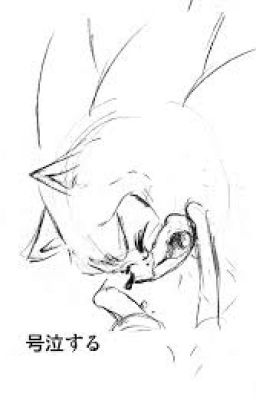 I'm Sorry... (Sonadow   Oneshot)