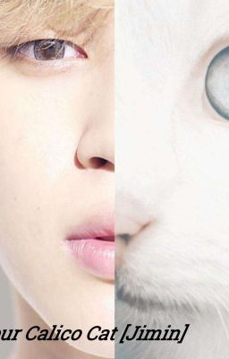 «I'm Your Calico Cat.» [Park Jimin] 