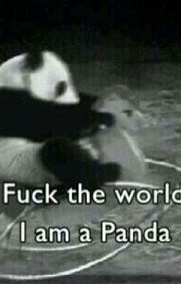 I PANDA DOMINANO