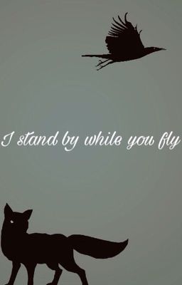 I stand by while you fly