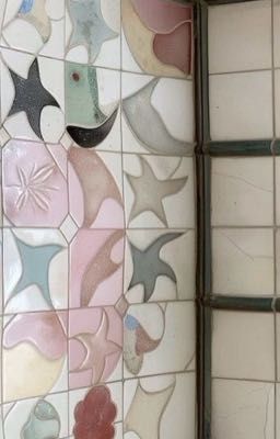 i've never known someone like you