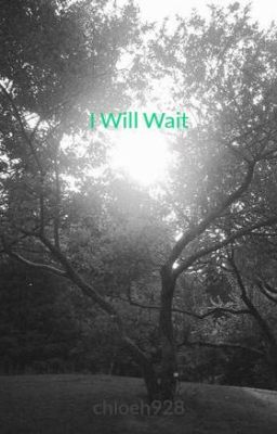 I Will Wait