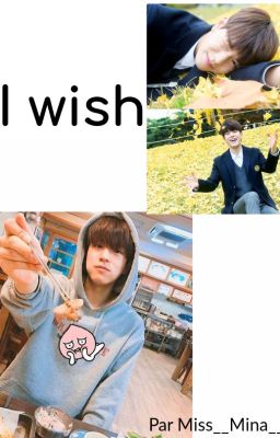 I wish ( FR) _ Stray kids_