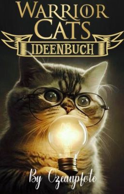 Ideenbuch für WaCa FF schreiben