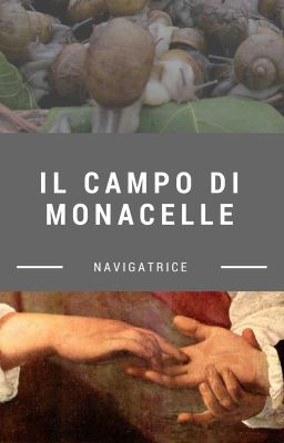 Il campo di Monacelle