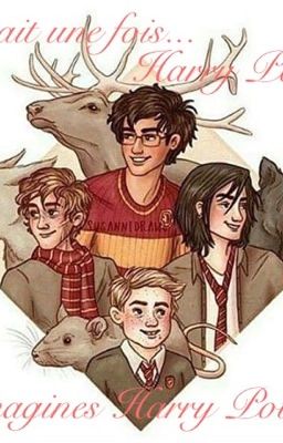 Il était une fois...Harry Potter ! [Imagines Harry Potter]