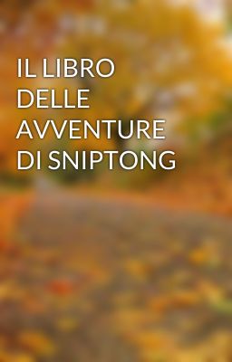 IL LIBRO DELLE AVVENTURE DI SNIPTONG