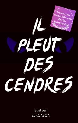 Il Pleut des Cendres