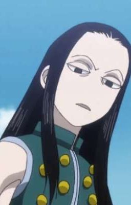 [Illumi x y/n] Illumi nhưng Illumi này lạ lắm!