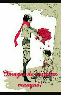 Image Couple Attaques Des Titans Et Autres Mangas